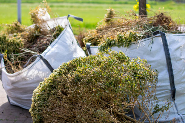 Best Commercial Cleanout Services  in Morehead, KY